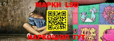 стаф Нальчик