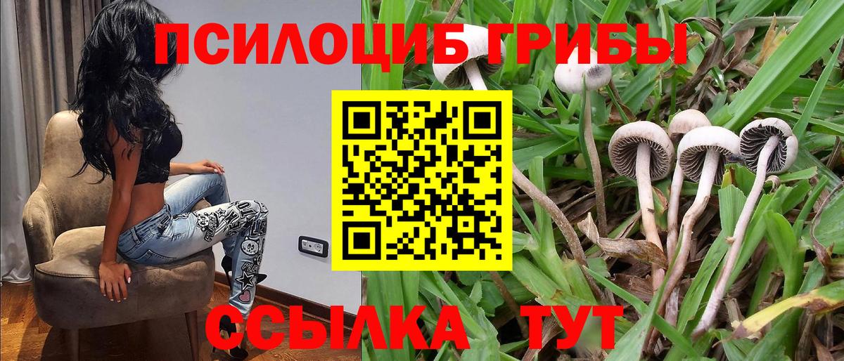 Галлюциногенные грибы Psilocybine cubensis Троицк