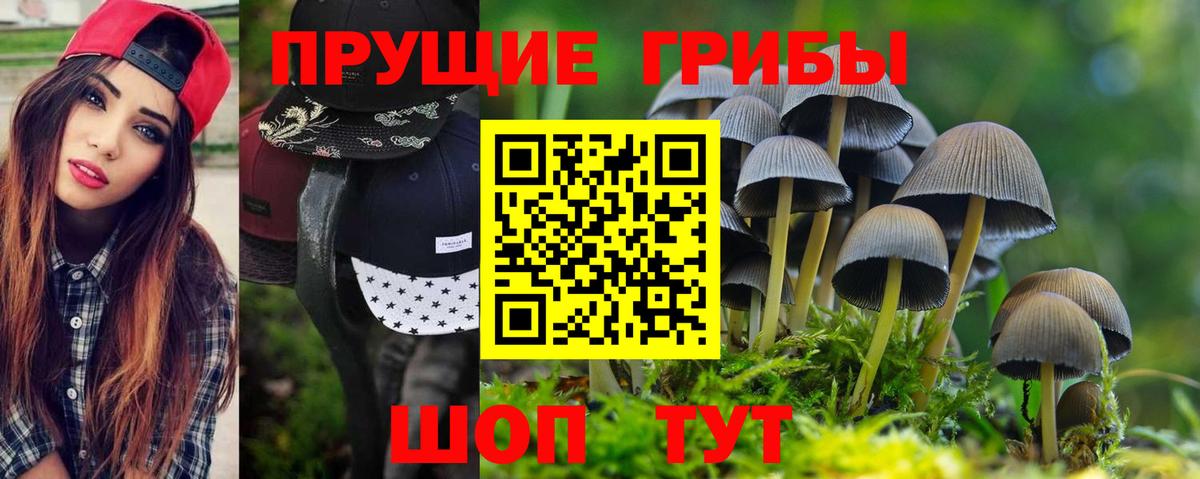 Троицк  Псилоцибиновые грибы прущие грибы  купить наркотик  Псилоцибиновые грибы MAGIC MUSHROOMS  Вход с VPN 